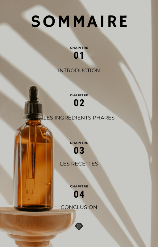 E-book 20 RECETTES DE MASQUES FAITS MAISON